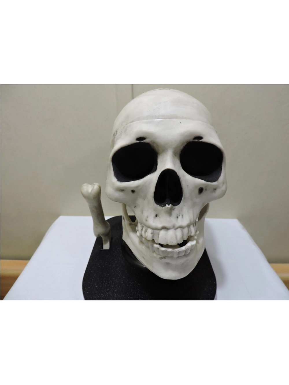 Vintage 2001 Halloween Talking Skull Candy Dispenser Holiday Creations